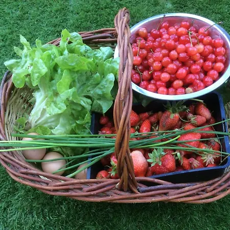 לינה וארוחת בוקר Le Clos Pastel D'hotes Et Son - Adultes Only Virac