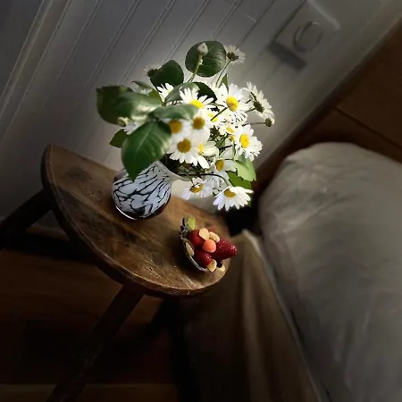 Le Clos Pastel D'hotes Et Son - Adultes Only לינה וארוחת בוקר Virac