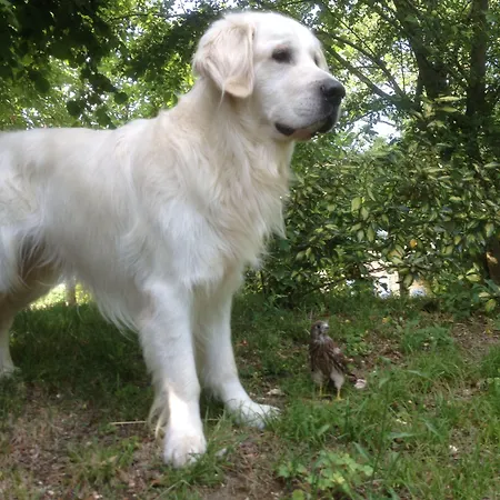 Le Clos Pastel D'hotes Et Son - Adultes Only לינה וארוחת בוקר