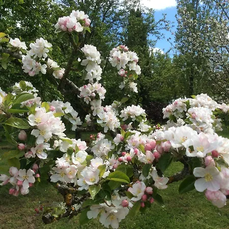 Le Clos Pastel D'hotes Et Son - Adultes Only 4*