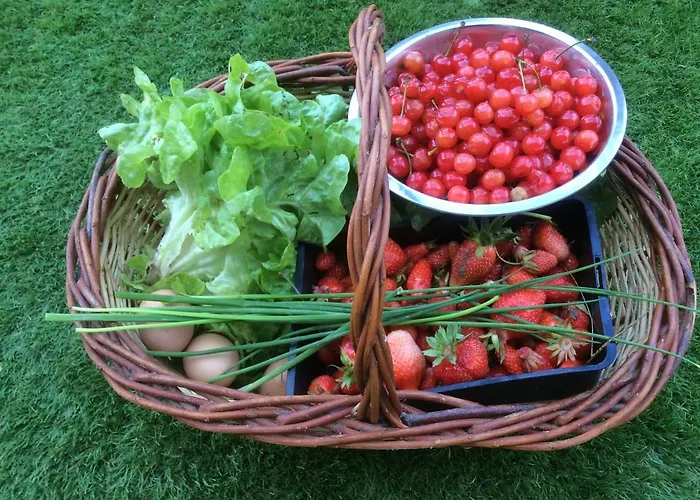 Alojamento de Acomodação e Pequeno-almoço Le Clos Pastel D'hôtes Et Son - Adultes Only Virac