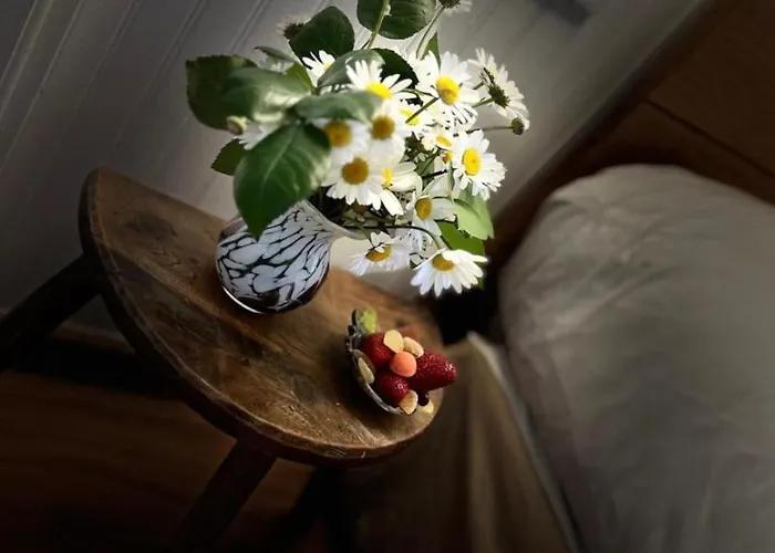 Le Clos Pastel D'hôtes Et Son - Adultes Only Alojamento de Acomodação e Pequeno-almoço Virac