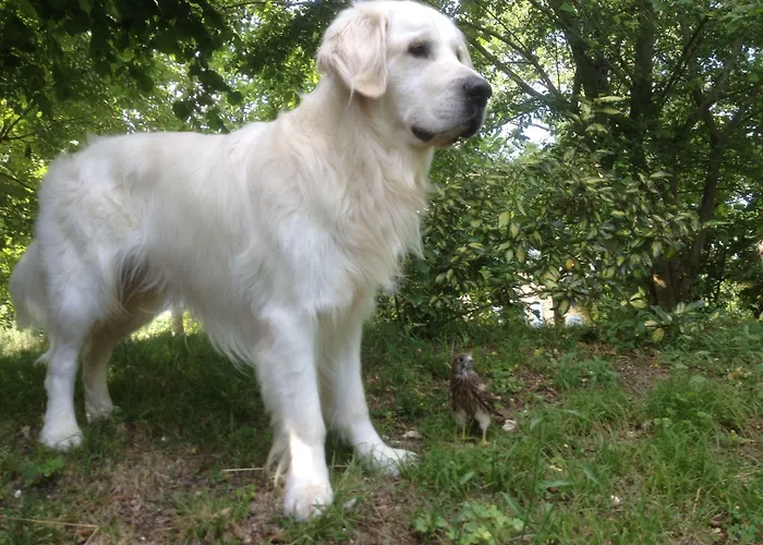 Le Clos Pastel D'hôtes Et Son - Adultes Only Alojamento de Acomodação e Pequeno-almoço