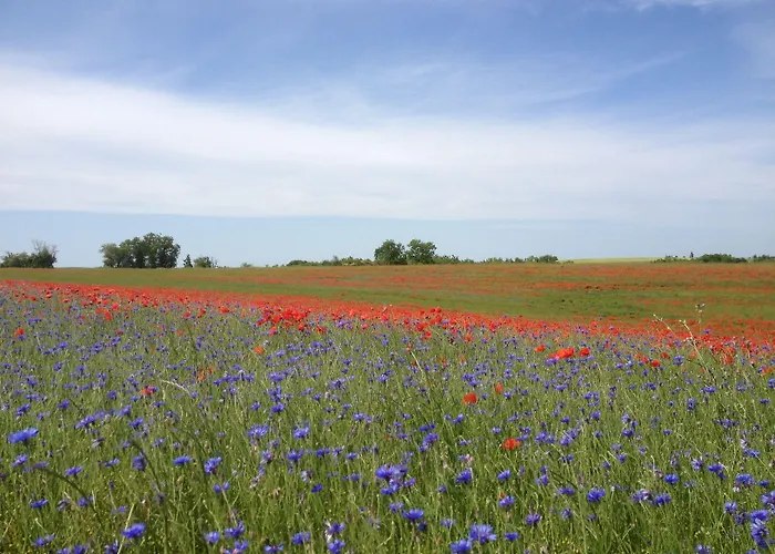 Le Clos Pastel D'hôtes Et Son - Adultes Only 4*