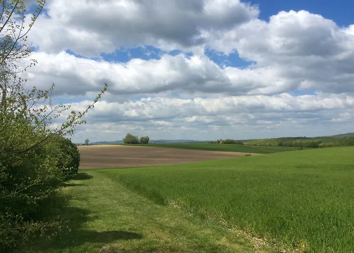 Alojamento de Acomodação e Pequeno-almoço Le Clos Pastel D'hôtes Et Son - Adultes Only