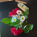 Bed & Breakfast Le Clos Pastel D'hotes Et Son - Adultes Only