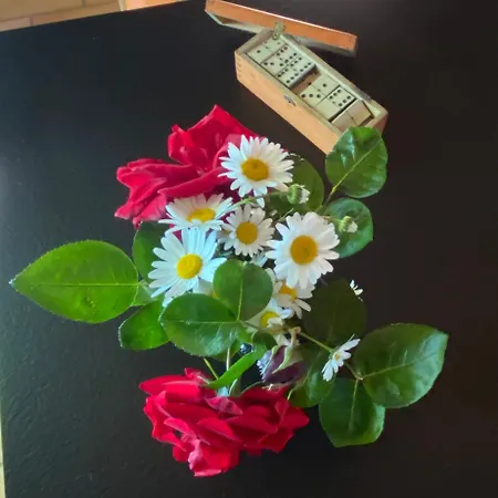 Bed & Breakfast Le Clos Pastel D'hotes &