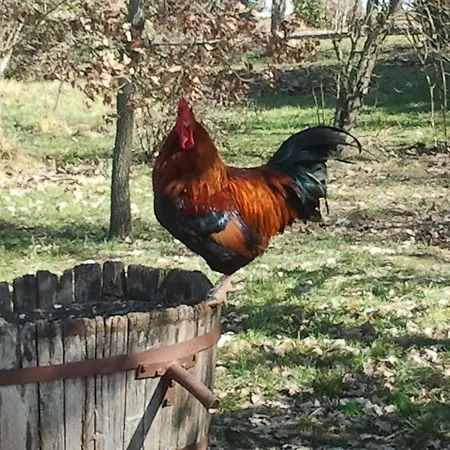 Couette-café Le Clos Pastel D'hôtes Et Son - Adultes Only 4*