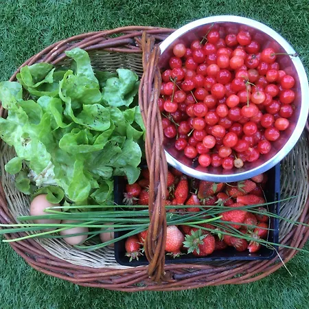 Couette-café Le Clos Pastel D'hôtes Et Son - Adultes Only