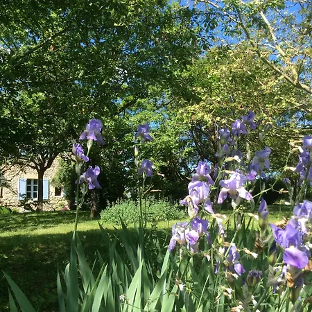 Le Clos Pastel D'hôtes Et Son - Adultes Only Virac