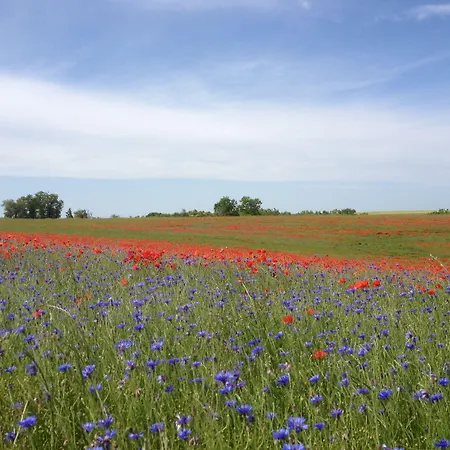 Le Clos Pastel D'hôtes Et Son - Adultes Only 4*