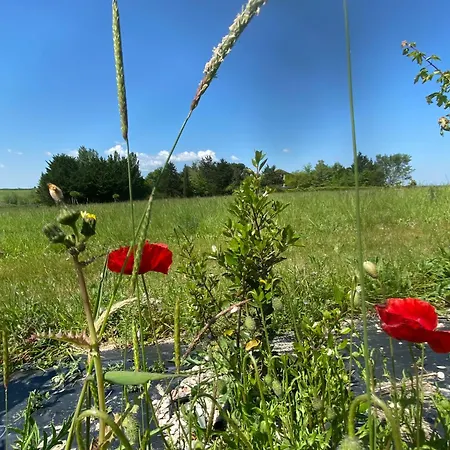 Le Clos Pastel D'hotes Et Son - Adultes Only Bed & Breakfast Virac