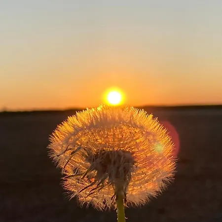 Le Clos Pastel D'hotes Et Son - Adultes Only