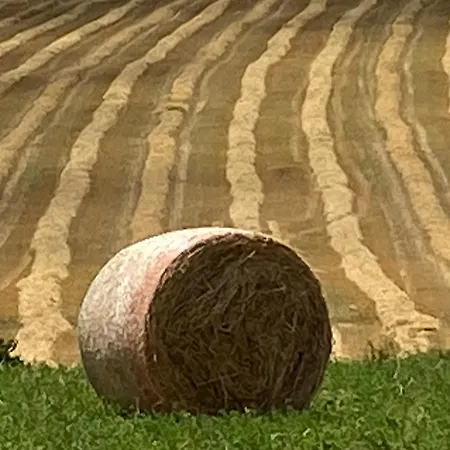 Le Clos Pastel D'hotes Et Son - Adultes Only 4* Virac