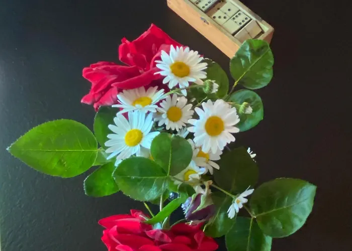 B&B Le Clos Pastel D'hotes Et Son - Adultes Only