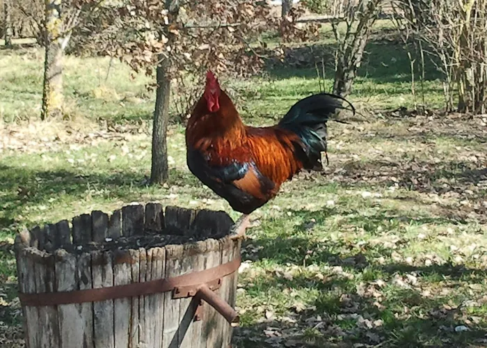 B&B Le Clos Pastel D'hotes Et Son - Adultes Only 4*